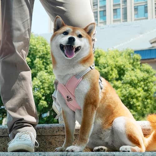 Patas Lague Dog Harness with Leash Set Adjustable Soft Padded Step-in Dog Vest No Choke No Pull Reflective for Small Pets with Poop Bags and Dispenser, Solid and No-chew, Pink XS - color: Pink, size: XS (Neck 16-19.1'' Chest 18.8-21.5'')