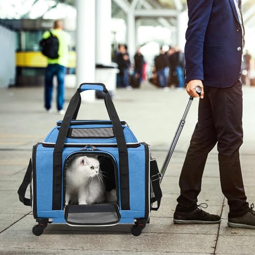 PETCUTE Large Dog Cat Carrier with Wheels,Foldable Rolling Pet Carrier for Cat Dog Under 18 lbs,Breathable Cat Carrier Travel Bag with Telescopic Handle and Mesh Pocket for Outdoor Walking Travel