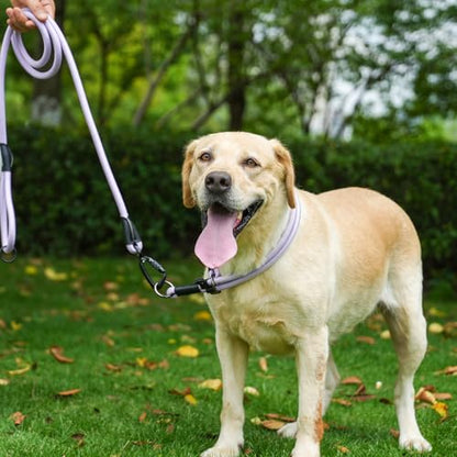 Rope Dog Leash, 6 Foot Heavy Duty Dog Leash with Aviation Aluminum Auto Locking Carabiner, Strong Nylon Pet Lead for Small, Medium, Large Dogs (Purple, 6FT) - color: Purple, size: 6 Foot Single Handle