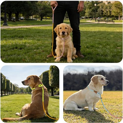 FOVRLZSE 3-Pack Lightweight Adjustable Nylon Dog leashes Leather Buckles Macaron Dog leashes for S/M Dogs,5.2ft Long,White Ultra-Soft eco-Cotton Lining,No Collar Needed - color: Macaron