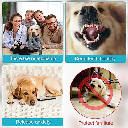 Sratte 10 Pcs Soft Dog Squeaky Toys No Stuffing Crinkle Dog Toy for Aggressive Chewers Durable Plush Teething Puppy Squeak Animals Chew for Small Medium Large Pets, 10 Styles (Classic Style) - style: Classic Style