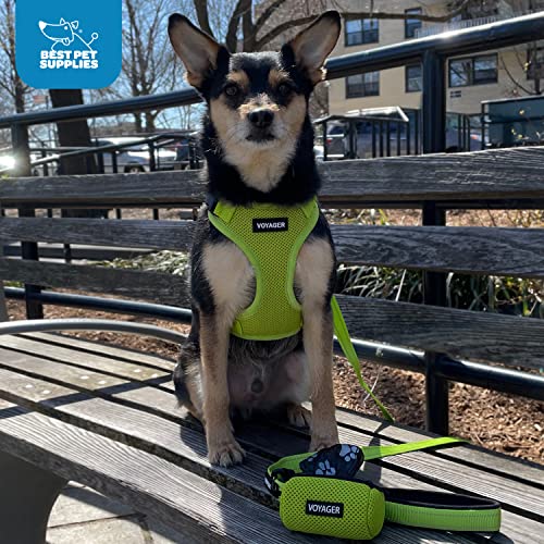 Voyager Step-in Lock Dog Harness w Reflective Dog Leash Combo Set with Neoprene Handle 5ft - Supports Small, Medium and Large Breed Puppies/Cats by Best Pet Supplies - Baby Blue, L (Pack of 2) - color: Harness Leash Set (Baby Blue), size: L (Chest: 20 - 2