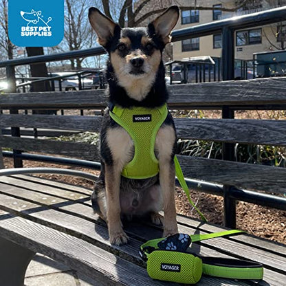 Voyager Step-in Lock Dog Harness w Reflective Dog Leash Combo Set with Neoprene Handle 5ft - Supports Small, Medium and Large Breed Puppies/Cats by Best Pet Supplies - Baby Blue, L (Pack of 2) - color: Harness Leash Set (Baby Blue), size: L (Chest: 20 - 2