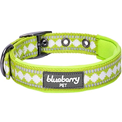 Blueberry Pet Reflective Jacquard Dog Collar with Neoprene Padding & Metal Buckle | Soft & Adjustable Safety Collar - Macaw Green, Neck 9-12.5", for Small Breed - color: Metal Buckle-Macaw Green, size: Small