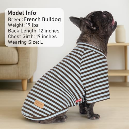 KYEESE 3Pack Dog Sweater, Soft Puppy Sweatshirt Stretchy Pullover Dog Sweater for Small Dogs Boy, Lightweight Fleece Cat Shirt Pet Clothes with Sleeves, M - color: 08# 3Pack(Blue+Grey+Blue Stripe), size: Medium (8.5-13lbs)