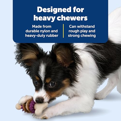 PetSafe Busy Buddy Bristle Bone Dog Chew Toy - Treat Holding Toothbrush Toy for Hard Chewers - Helps Keep Your Dog's Teeth Clean - Durable, Interactive - Purple, Extra Small - size: Extra Small, style: Bristle Bone
