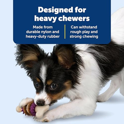 PetSafe Busy Buddy Bristle Bone Dog Chew Toy - Treat Holding Toothbrush Toy for Hard Chewers - Helps Keep Your Dog's Teeth Clean - Durable, Interactive - Purple, Extra Small - size: Extra Small, style: Bristle Bone