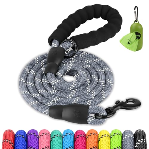Joytale Dog Leash for Large Dogs, Heavy Duty Nylon Leashes with Comfortable Padded Handle and Highly Reflective Threads, Ideal for Walking and Training, Gray, 5'×1/2'' - color: Gray, size: 5FT×1/2'' (20~120 lbs)