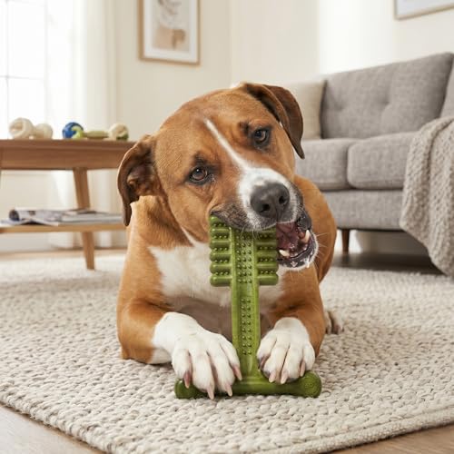 SPOT Bam-Bones Plus Toothbrush Dog Chew Toy for Medium Dogs 30-60 lbs, Bamboo & Nylon Dental Chew with Mint & Baking Soda, T-Bone Shape for Moderate to Heavy Chewers, 6 Inch - size: 6 Inch (Pack of 1)