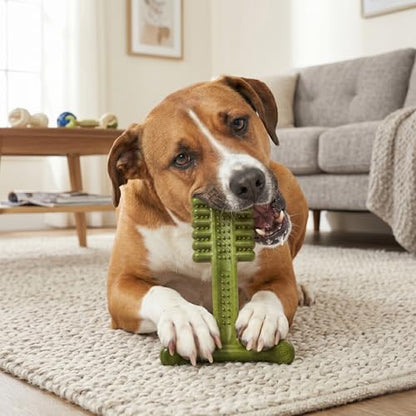 SPOT Bam-Bones Plus Toothbrush Dog Chew Toy for Medium Dogs 30-60 lbs, Bamboo & Nylon Dental Chew with Mint & Baking Soda, T-Bone Shape for Moderate to Heavy Chewers, 6 Inch - size: 6 Inch (Pack of 1)
