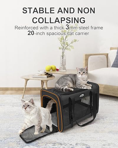 Soft-Sided Large Cat Carrier for 2 Cats, Spacious Foldable Pet Travel Carrier for Large Cats up to 25 Lbs, Double Cat Bag with Shoulder Strap, 20x13x13 Inch, Fits Maine Coon and Small Dogs, Black