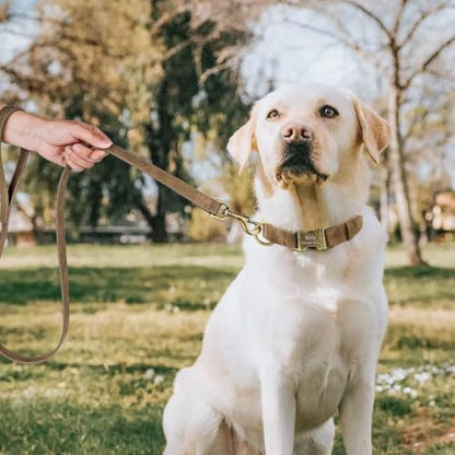 Personalized Dog Collars for Puppies, Custom Soft PU Leather Dog Collar with Engraved ID Name and Number, Adjustable & Durable Pet Collars with Quick Release Metal Buckle,XS(8-13") - color: Yellow Brown-Engraving, size: X-Small: Fit 8-13" Neck