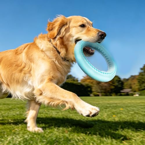 Dog Chew Ring Toy, Durable Rubber Teething Ring Aggressive Chewers, Non-Toxic Dental Cleaning Toy for Small & Medium Dogs, Interactive Fetch Tug Toy Mint Blue