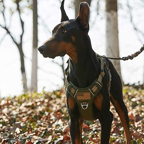 BUMBIN Tactical Dog Harness for Large Dogs, No Pull, Reflective, Green, L(Neck:19-25", Chest:21-35") - color: Green, size: L(Neck:19-25", Chest:21-35")