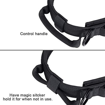 Tactical Dog Collar and Leash Set Adjustable Military Nylon Dog Collar with Control Handle and Heavy Duty Metal Buckle for Large Dogs （Black S - color: Black SET(collar+leash), size: Small (Pack of 1)