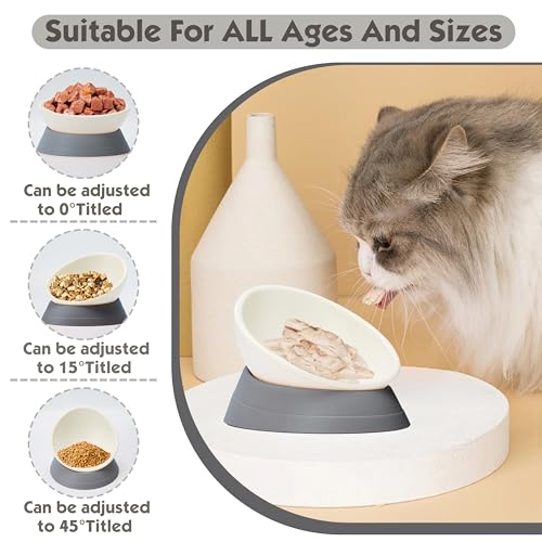 French Bulldog Food Bowl- Slanted Tilted Pug Food Water Bowl,Cat Bowl- Feeder for Frenchie/Shih Tzu/Flat Faced Small Dogs/Puppies/Cats (Grey, 4 Cup) - color: Grey, size: 4 Cup