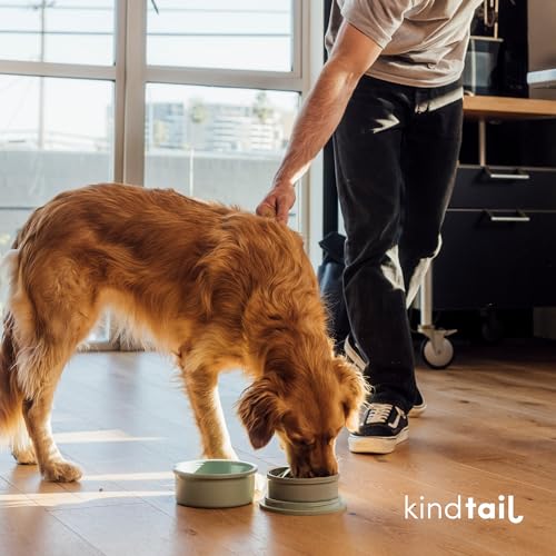 KindTail Dog Travel Bowls - Set of 2 Portable Pet Food & Water Dishes with Lid & Handle - Each Nesting Container Includes a Non-Slip Silicone Base - Microwave & Dishwasher Safe - BPA & Toxin-Free - color: Light Green, size: Large