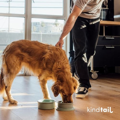 KindTail Dog Travel Bowls - Set of 2 Portable Pet Food & Water Dishes with Lid & Handle - Each Nesting Container Includes a Non-Slip Silicone Base - Microwave & Dishwasher Safe - BPA & Toxin-Free - color: Light Green, size: Large