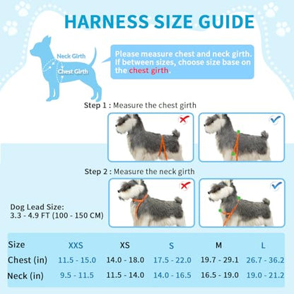 Lukovee No Pull Dog Harness and Leash Set, Soft Padded Small Dog Harness, Neck & Chest Adjustable Reflective Vest Puppy Harness with 4ft Lightweight Anti-Twist Dog Leash for Small Dogs (LBL, XXS) - color: Light Blue, size: XXS ( Chest 11.5'' ~ 15'')