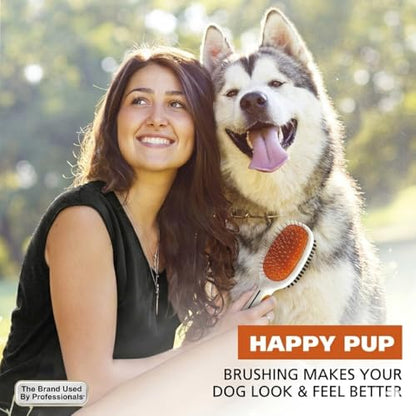 Double Sided Pet Grooming Brush | Soft Bristle Dog Brush for Shedding | Pin Brush for Light Detangling & Smoothing Coat | Cats Grooming Brushes For Short Long Hair | Pet Hair Removal Tool