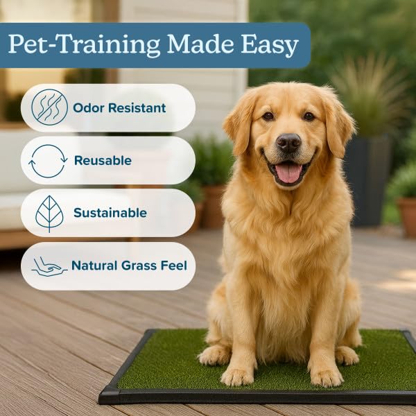 PETMAKER Artificial Grass Puppy Pee Pad for Dogs and Small Pets with Tray - 20x30 inches Washable 3-Layer Reusable Indoor Dog Potty Grass Training Pad, Easy Clean Pet Housebreaking Potty Solution - size: Large 3-Layer System