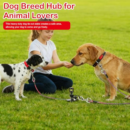 Dog Tie Out Stake Heavy Duty: 14.9in x0.47in Spiral Ground Anchor with 360° Stainless Swivel, Drill Adapter and Manual Steel Rod, Strong Tie Out System for Large Dogs in Yard and Outdoor Use