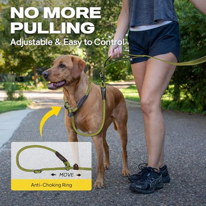 Fida 2-in-1 Slip Leads for Dogs with Double Handles, Tangle Free Leash for Large Dogs that Pull, Heavy Duty No Pull Training Leash Reflective Soft Padded for Large & Medium Breed(6ft,Green) - color: Green