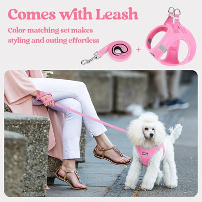 rabbitgoo Dog Harness Small Sized and Leash Set, Step in Soft Light Puppy Vest, Breathable Mesh Pet Harness, Reflective for Safe Easy Walking, Light Pink XXXS - color: Light Pink, size: Xxxs (chest: 10.8 - 11.8")