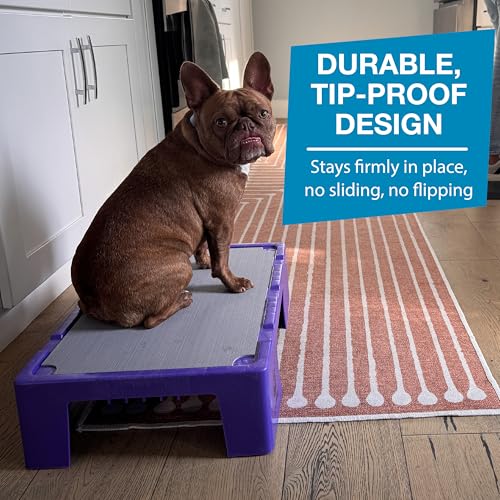 Blue-9 KLIMB Jr. Professionally Designed Dog Training Platform and DIY Guide for Behavior Basics, Made in The USA, Purple - color: Purple