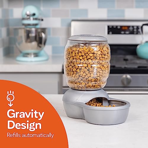 Petmate Replendish Feeder with Automatic Cat and Dog Feeder Grey, 2lb, Made in USA - color: Pearl Silver Grey, size: 2 LB