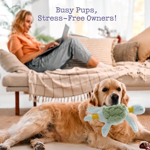Fuzzwoof Squeaky Dog Toy, New 2025 Turtle Tug of War Crinkle Dog Toy, Tough Large Breed Interactive Stuffed Toy Trianing Fun to Keep Them Busy - style: Turtle