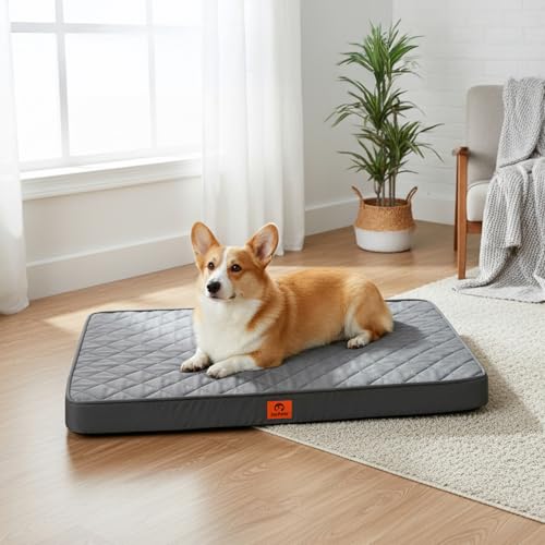 Orthopedic Egg Crate Foam Small Medium Dog Bed | 30x20 inch, supports up to 30 lbs, waterproof, machine washable, non-slip bottom, crate indoor use, dark grey - size: 30"L x20 "W x 3"Th