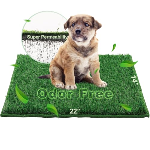 HQ4US 4LEGS Artificial Grass, Dog Pee Grass Pads for Dogs Potty, Odor Free Fake Grass for Dogs Small 22" x 14" with Countless Drainage Holes, Dog Potty Grass Hemmed Edge Realistic - size: S for Dog＜ 19" Length