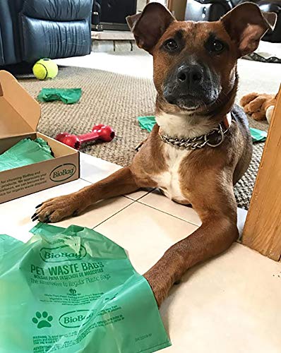 BioBag Premium Pet Waste Bags with Handles, Standard Size, 150 Count, Great For All Dog Breeds - style: Bags With Handles