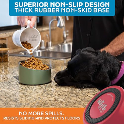 Master Pet Supply Stainless Steel Slanted Dog Cat Food Bowl - 24 oz Heavy Duty - Crimson Flame, Double Wall Insulated, Non-Slip Elevated Bowl for French Bulldogs Pugs Cats, Anti Rust Dishwasher Safe - color: Crimson Flame, size: 3 Cups (24 oz)