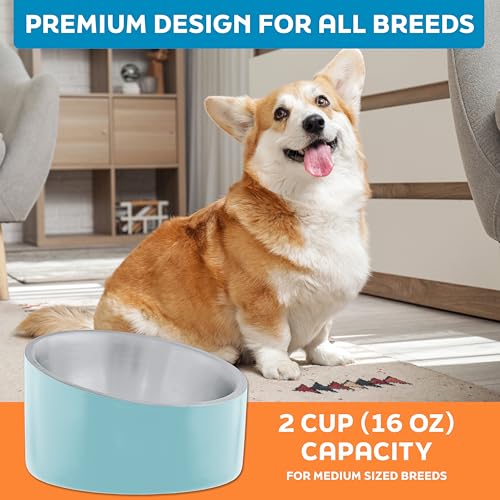 Master Pet Supply Stainless Steel Slanted Dog Cat Food Bowl - 16 oz Heavy Duty - Aqua Sky, Double Wall Insulated, Non-Slip Elevated Bowl for French Bulldogs Pugs Cats, Anti Rust Dishwasher Safe - color: Aqua Sky, size: 2 Cups (16 oz)