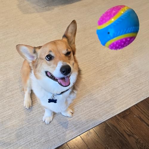 SPOT Sensory Ball for Soft Chewers - Stimulates All 5 Senses, Bell & Squeaker Sounds, Raised Nubs Clean Teeth, High Contrast Fetch Toy, Beef Scented, Durable TPR Rubber Ball, 2.5-inch - size: 2.5 inch (Pack of 1)