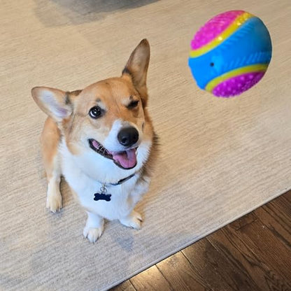 SPOT Sensory Ball for Soft Chewers - Stimulates All 5 Senses, Bell & Squeaker Sounds, Raised Nubs Clean Teeth, High Contrast Fetch Toy, Beef Scented, Durable TPR Rubber Ball, 2.5-inch - size: 2.5 inch (Pack of 1)