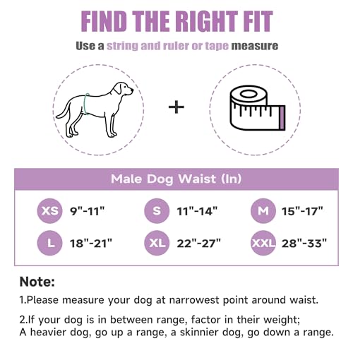 wegreeco Washable Male Dog Belly Band (Stylish Pattern) - Pack of 3 - Dog Diapers Male - Washable Male Dog Belly Wrap (Interstellar, X-Small) - color: Interstellar, size: X-Small (Pack of 3)