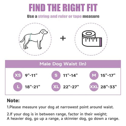 wegreeco Washable Male Dog Belly Band (Stylish Pattern) - Pack of 3 - Dog Diapers Male - Washable Male Dog Belly Wrap (Interstellar, X-Small) - color: Interstellar, size: X-Small (Pack of 3)