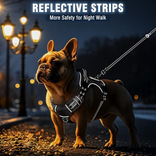 Tactical Dog Harness and Leash Set Medium Sized Dog,Heavy Duty No Pull Service Dog Vest and 10 Patches with Dog Seat Belt,Reflective Adjustable Pet Harness for Training Walking Hiking Black M - color: Black, size: Medium