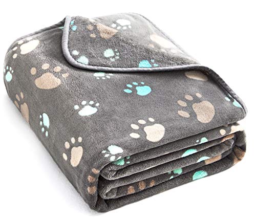 Allisandro 350 GSM-Super Soft and Premium Fuzzy Flannel Fleece Pet Dog Blanket, The Cute Print Design Washable Fluffy Blanket for Puppy Cat Kitten Indoor Outdoor, Grey, 40 x 32 Inches - color: Grey Paw, size: 40" x 32"