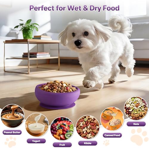 Dog Lick Bowl Slow Feeder with Slanted Anti-Spill Design, Extra-Thick Bite-Resistant Rim, Strong Suction Base, Freezer Safe for Frozen Treats — A Cleaner Alternative to Lick Mats for Dogs (Purple) - color: Purple