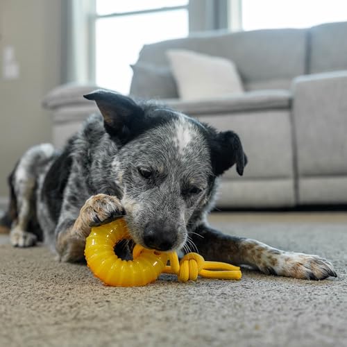 Outward Hound Gummiez Peach Ring 2-in-1 Dental Dog Chew Toy and Treat Stuffer Game, Peach Scent - color: Gummiez Peach Ring