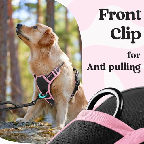 rabbitgoo Dog Harness Small Sized, No Pull Easy On & Off with 3 Buckles Pet Harness, Adjustable Soft Walking Vest with 2 Clips and Handle, Reflective for Small Dogs, Black & Pink, S - color: Black & Pink, size: Small