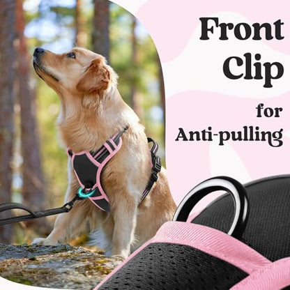 rabbitgoo Dog Harness Small Sized, No Pull Easy On & Off with 3 Buckles Pet Harness, Adjustable Soft Walking Vest with 2 Clips and Handle, Reflective for Small Dogs, Black & Pink, S - color: Black & Pink, size: Small