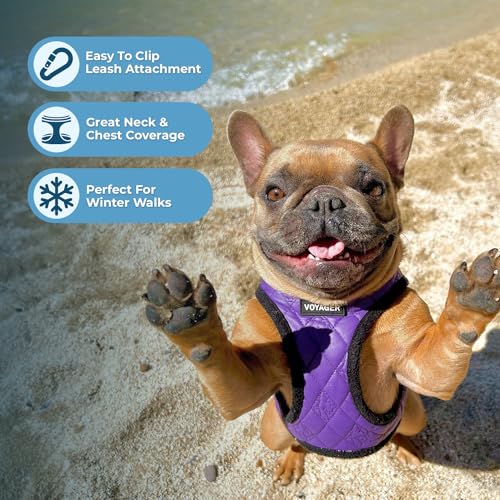 Best Pet Supplies - All Weather Plush, Reflective, No Pull Harness for Small, Medium Dogs, Cats - Secure with Hook & Loop Fastener, Buckle, Double D-Rings - Purple Faux Leather, XS - color: Purple Faux Leather, size: XS