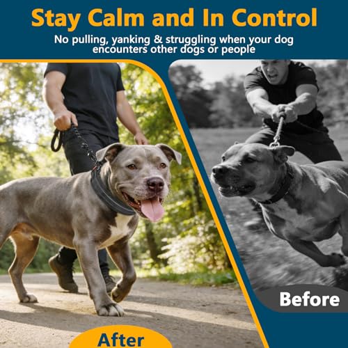 Crazy Felix No Pull Martingale Collar for Large Medium Small Dog Pitbull German Shepherd Doberman, Dog Collar Anti Pull with Buckle for Training Walking (Black, L-Neck 17-19.25", 1.5" Wide) - size: L-Neck 17-19.25", 1.5" Wide