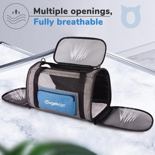 BurgeonNest Cat Carrier, Airline Approved Dog Carrier, Soft Sided Cat Pet Carrier for Small Medium Cats Dogs Under 10 lbs with Side Bag, Collapsible Travel Kitten Puppy Carriers, Blue - color: Blue, size: 17.5"L x 11.0"W x 11.0"H