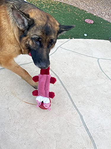 Jalousie 5 Pack Stuffingless Dog Squeaky Toys Dog Toy w/Durable Liner No Stuffing Dog Toy - Dog Toys Crinkle Paper Squeaker Toy for Medium Large Dogs (5 Pack - Color 4 - Squeaky) - color: 5 Pack - Color 4 - Squeaky